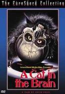 A CAT IN THE BRAIN