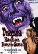 DRACULA HAS RISEN FROM THE GRAVE